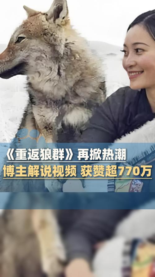 18禁污网站在线的相关介绍