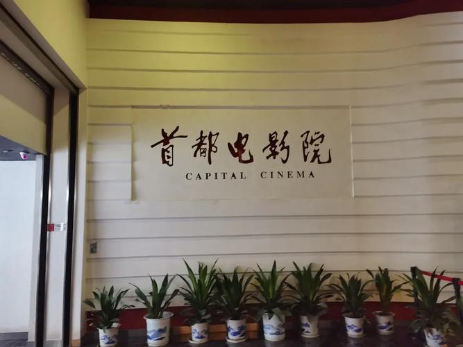未来影院：沉浸式VR观影体验与私人定制包场服务指南
