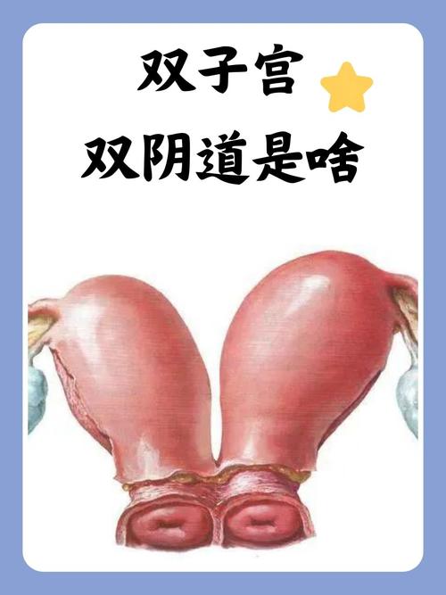 双性宫口高h：探索身体奥秘与性健康指南 | 双性人护理 | 宫口高度检测