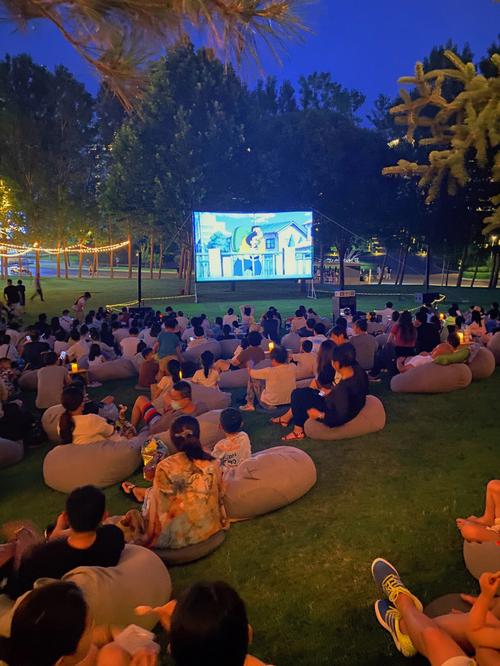 成年影院：解锁成人专属观影指南，高能剧情与隐秘资源一网打尽