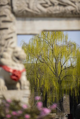 电影院抢座位攻略：如何快速选到最佳观影位置，避开高峰人流