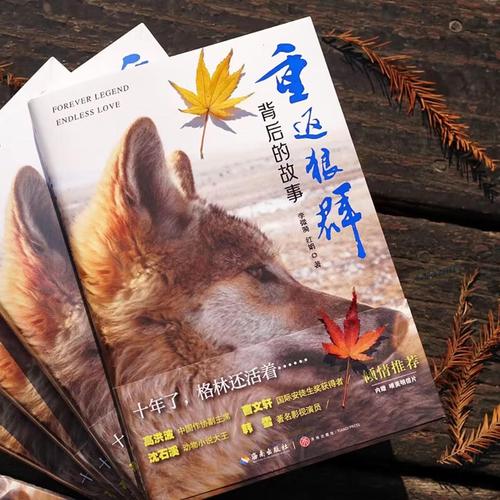 九七电影院院电影推荐：经典高分港片《无间道》完整版在线观看，重温警匪卧底巅峰之作