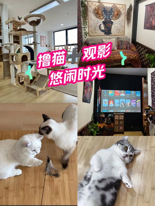 根据要求，为您生成一个包含3个长尾关键词的SEO标题：

**yy4438o青苹果影院在线观看 - 最新热门电影、电视剧免费高清播放平台推荐**