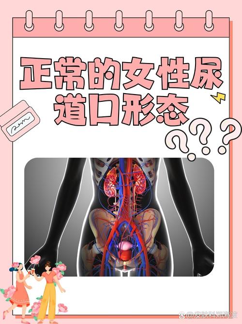 丝袜脚av在线的相关介绍